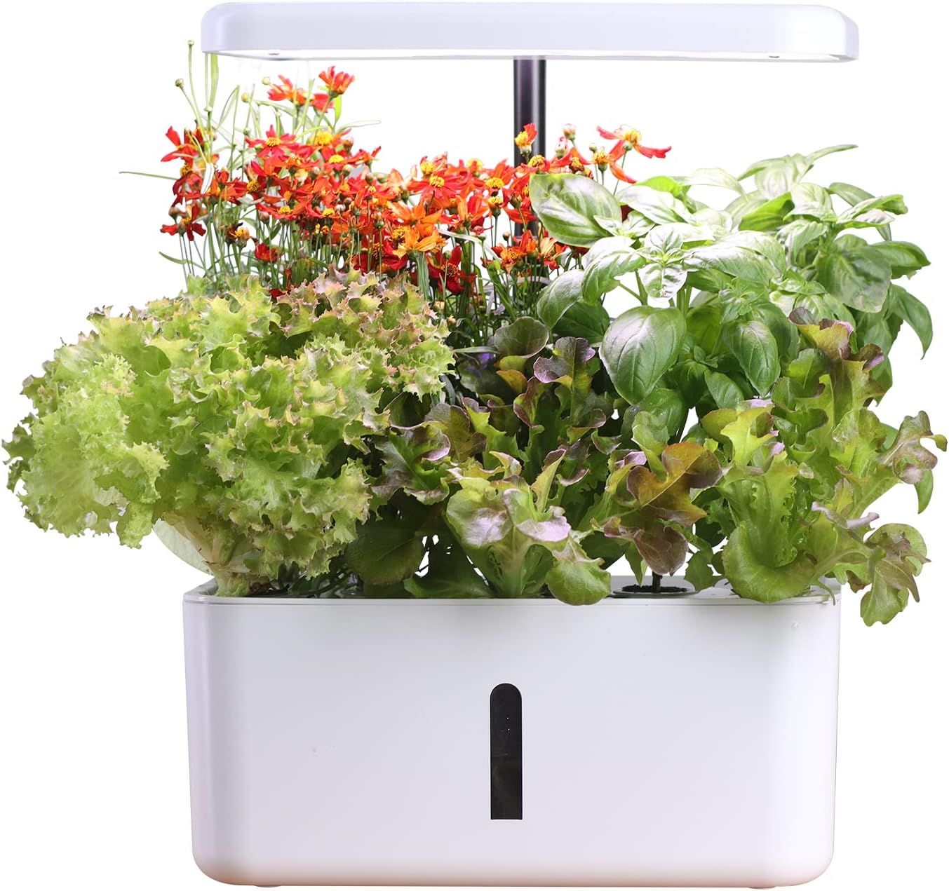 Moistenland Hydroponics Growing System,Indoor Garden,Herb Garden Indoor