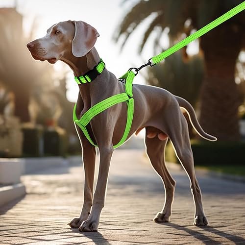Miniatura 8 de Mile High Life Juego de correa y arnés de nailon reflectante de doble banda ajustable para cachorros pequeños y perros (reflectante verde lima