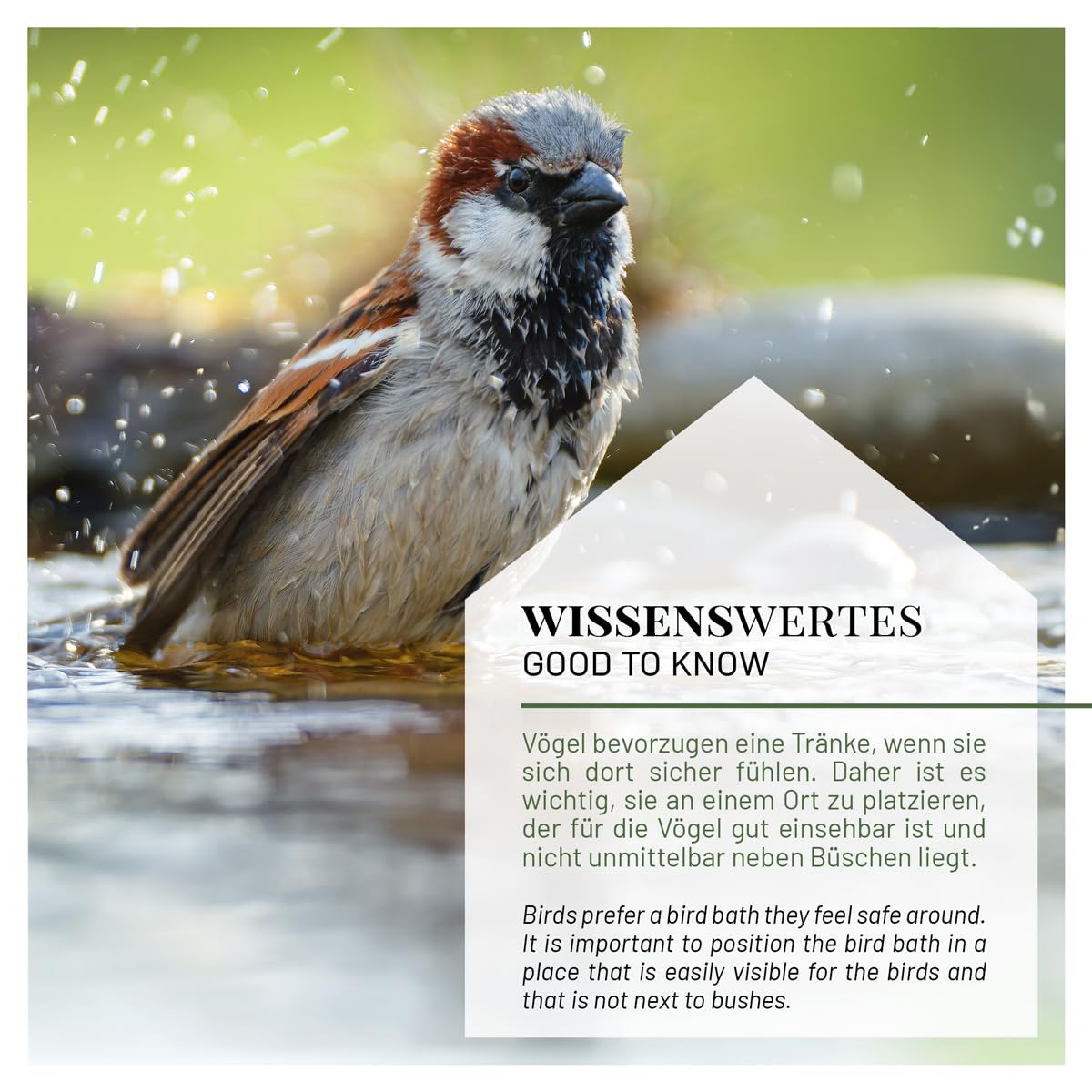 wildlife home Bebedero para pájaros de pie grande sobre barra, bebedero para pájaros con estaca para jardín, balcón, baño para pájaros de hierro fundido, resistente a las heladas, bebedero de agua