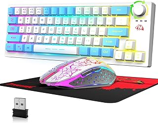 Wireless Gaming Keyboard and Mouse Combo, 12 RGB Backlit 64 Key Rechargeable 4000mAh Battery Wireless Keyboard and Mouse Set, 3 Level Adjustable DPI Mute Mouse for PC, Laptops, PS4(White Mixed)