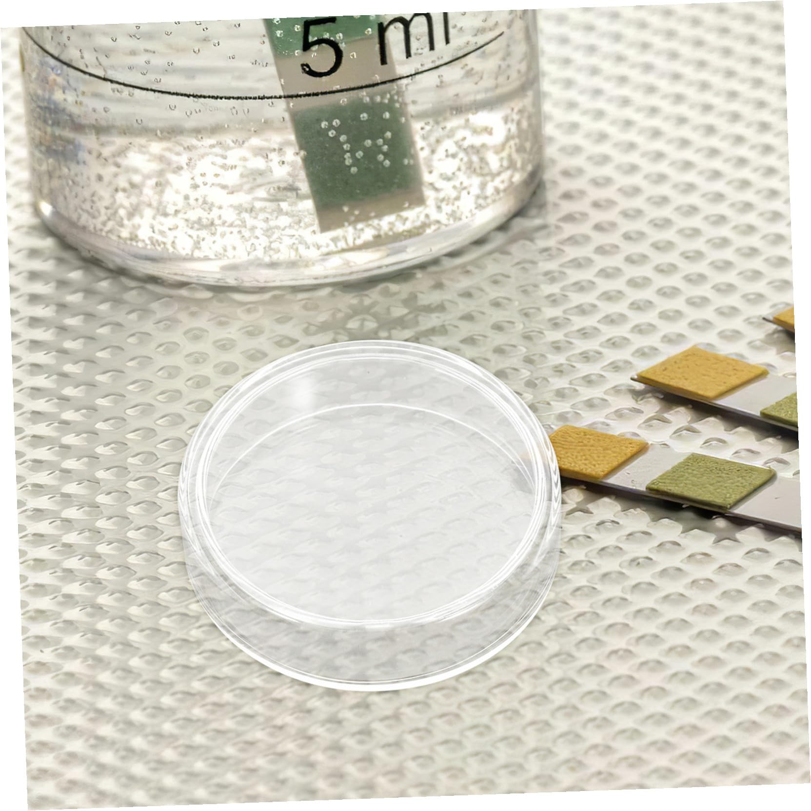 NOLITOY 10stücke Labor Petrischalen aus Glas Sterile Kulturschalen mit Deckel für Mikrobiologische Experimente Wachstum von Zellen und Verwendung als Werkzeug und Zubehör für Laborausrüstu