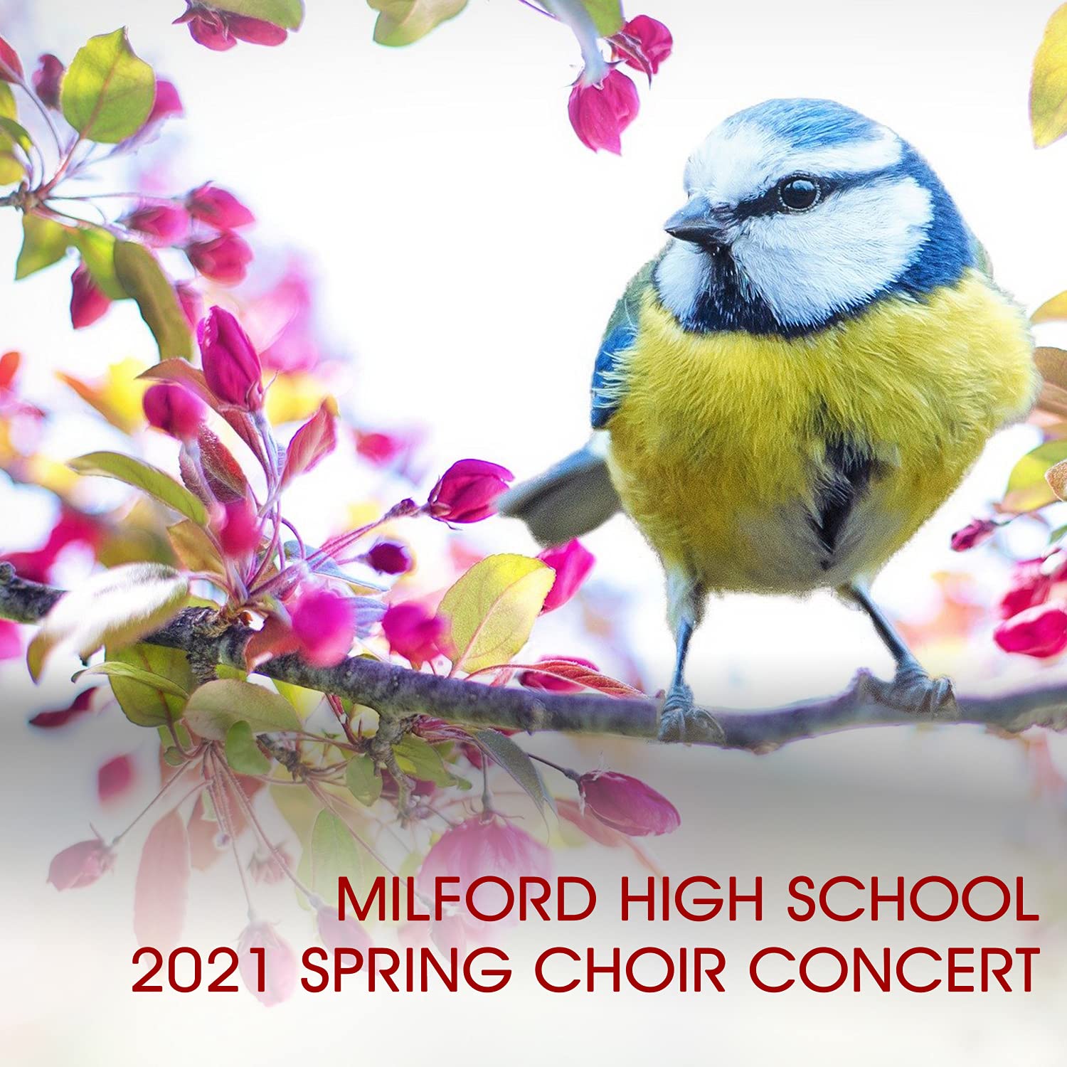 Milford High School Concert Choir
