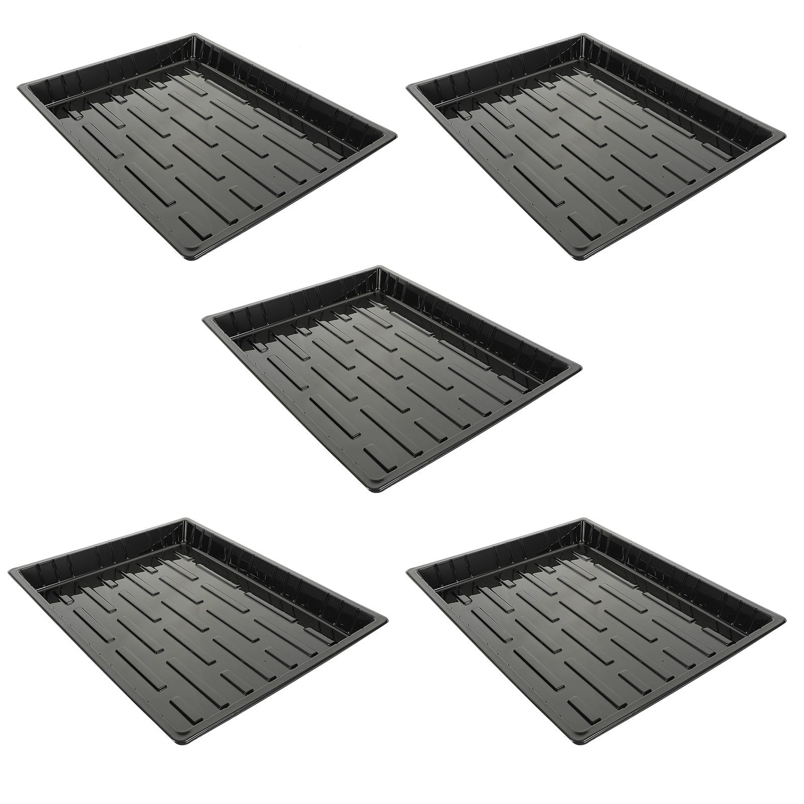 Plateau de culture pour légumes et succulentes en serre de jardin - Kit de 5 bacs