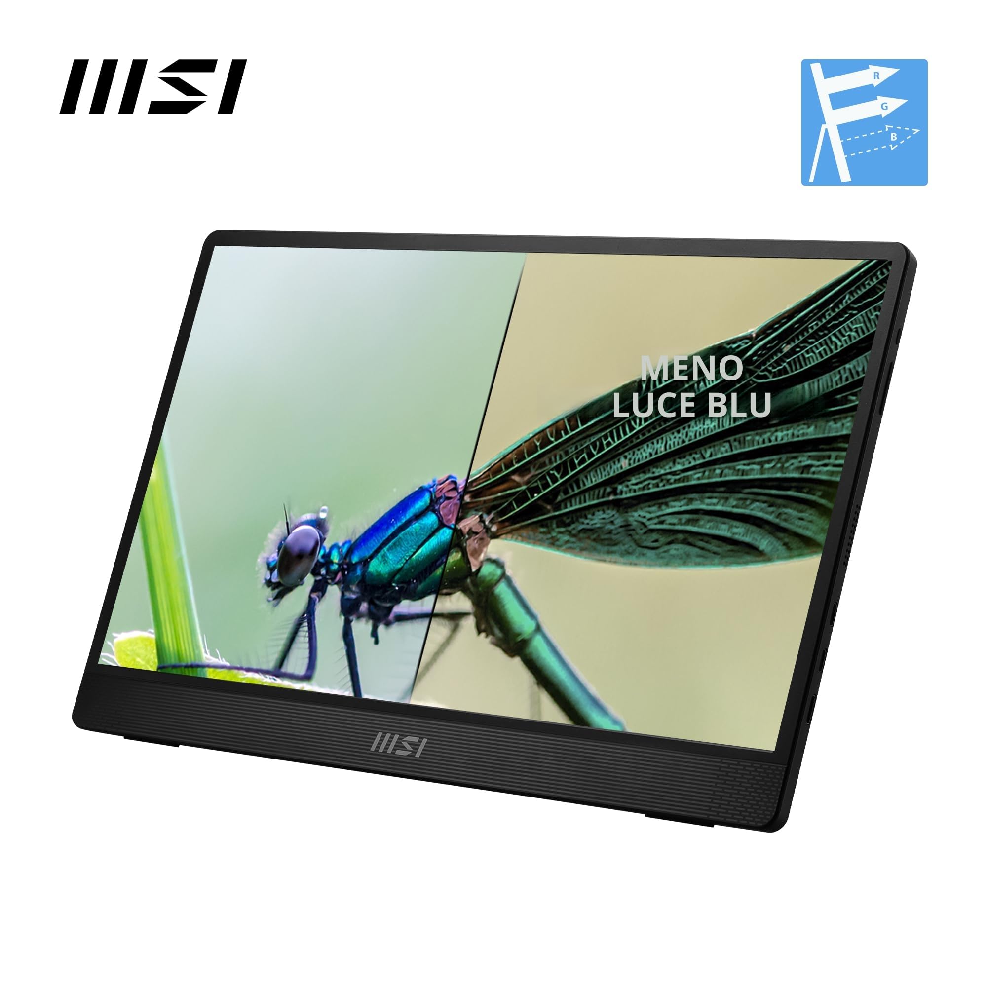 MSI PRO MP161 E2U Monitor portatile FHD 15,6" - Pannello IPS (1920 x 1080), 60Hz, Schermo aEye-Friendly (PC, Laptop, Mobile) - Mini-HDMI™ 2.0b (FHD@60Hz), 2 x USB Type-C