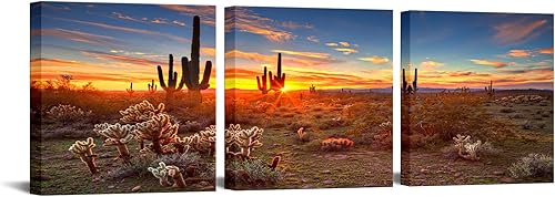 iKNOW FOTO 3 paneles de impresiones en lienzo de colores con cactus saguaro, cactus, sonora, desierto de Arizona, arte de pared, paisajes naturales, disponible en Yaxa El Salvador