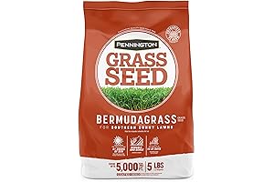 Incredible Scott's Bermuda Grass Seed for a Healthy Lush Lawn!