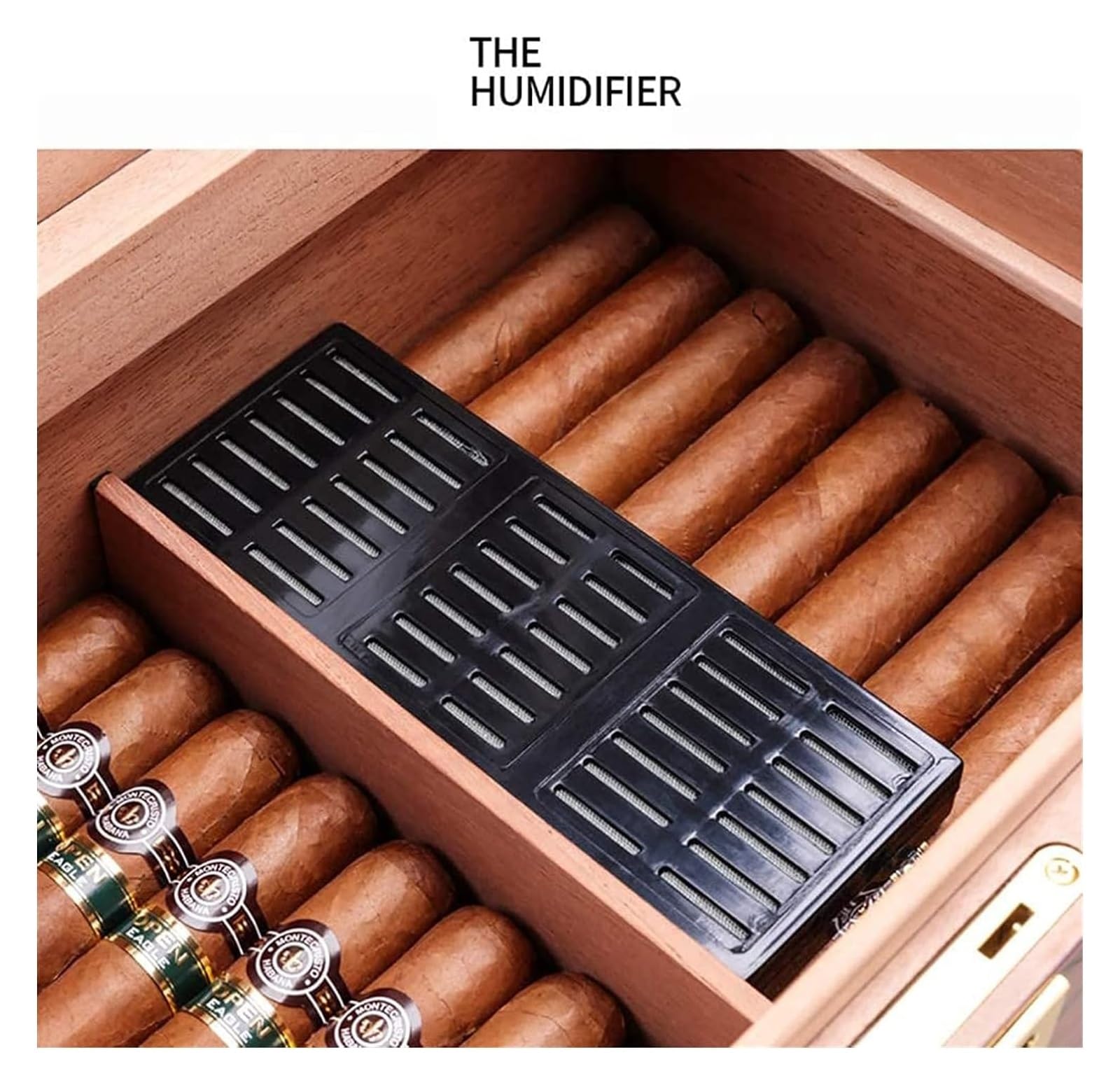 Cigar Club ヒュミドール Amazon.co.jp: PIPITA グラストップシガーヒュミドール シガー