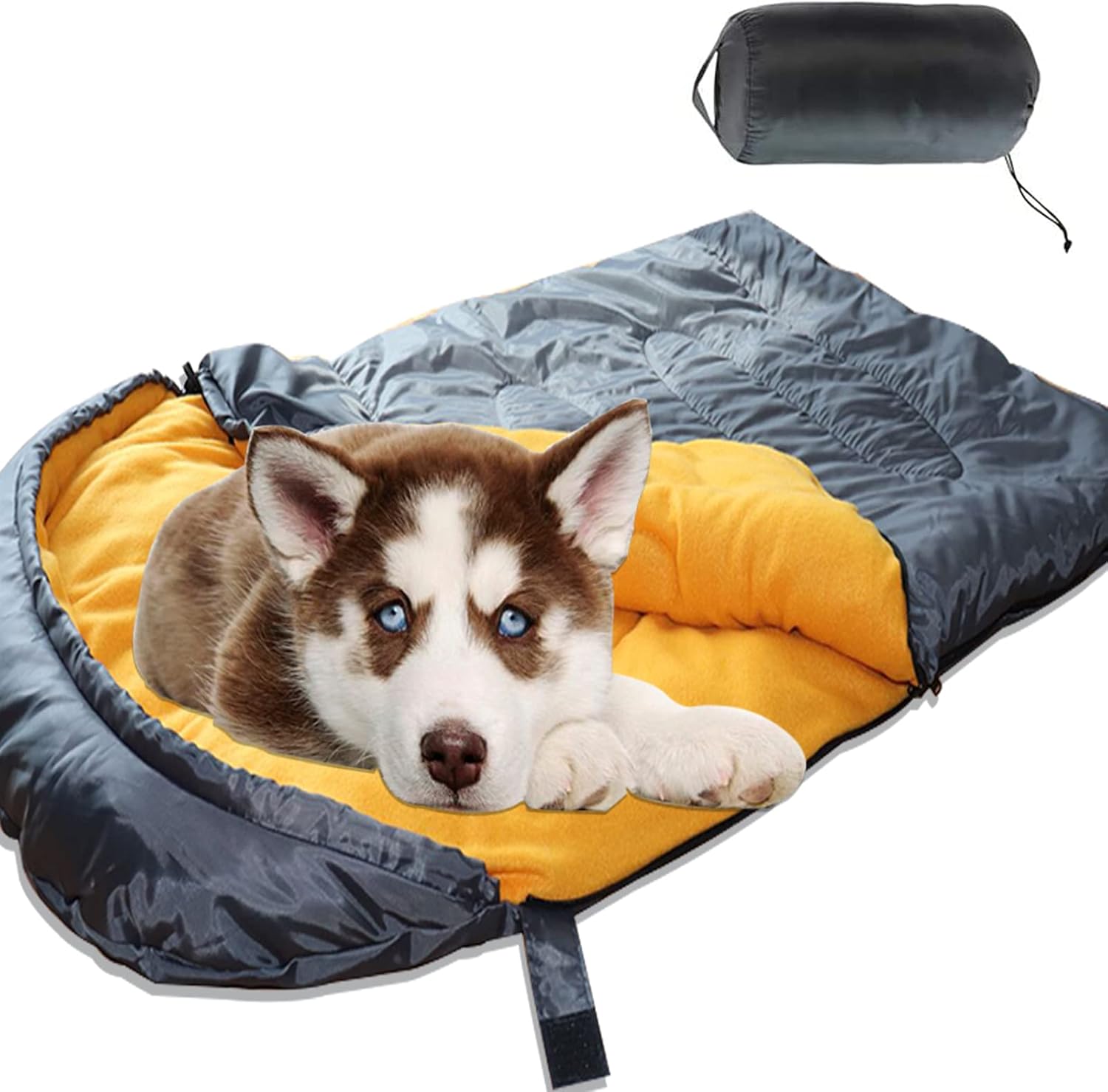 backpacking with a dog