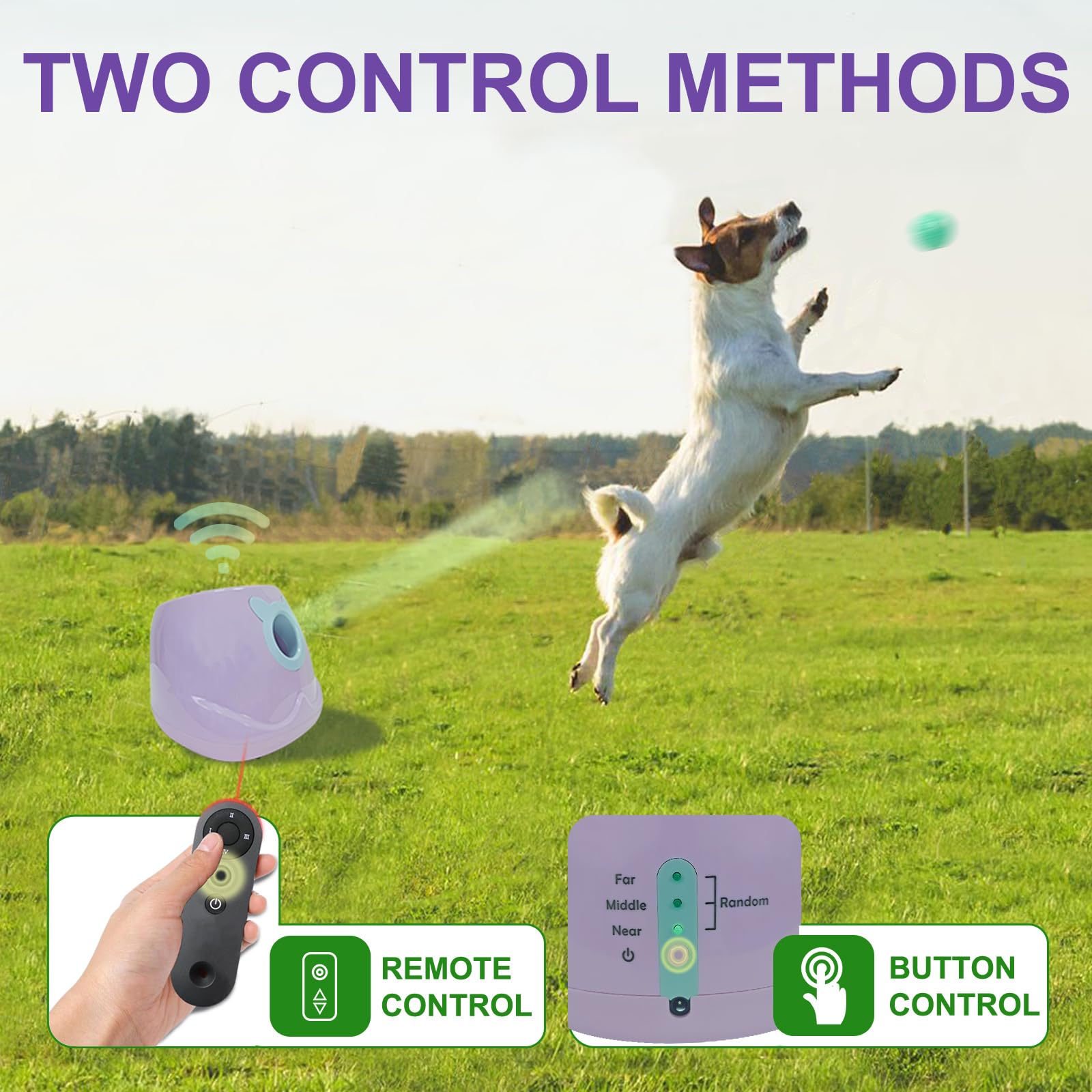 BESTHLS Lanceur automatique de balles de tennis interactif pour chiens de petite et moyenne taille, distance de recherche de 10 à 30 pieds (violet, télécommande incluse)