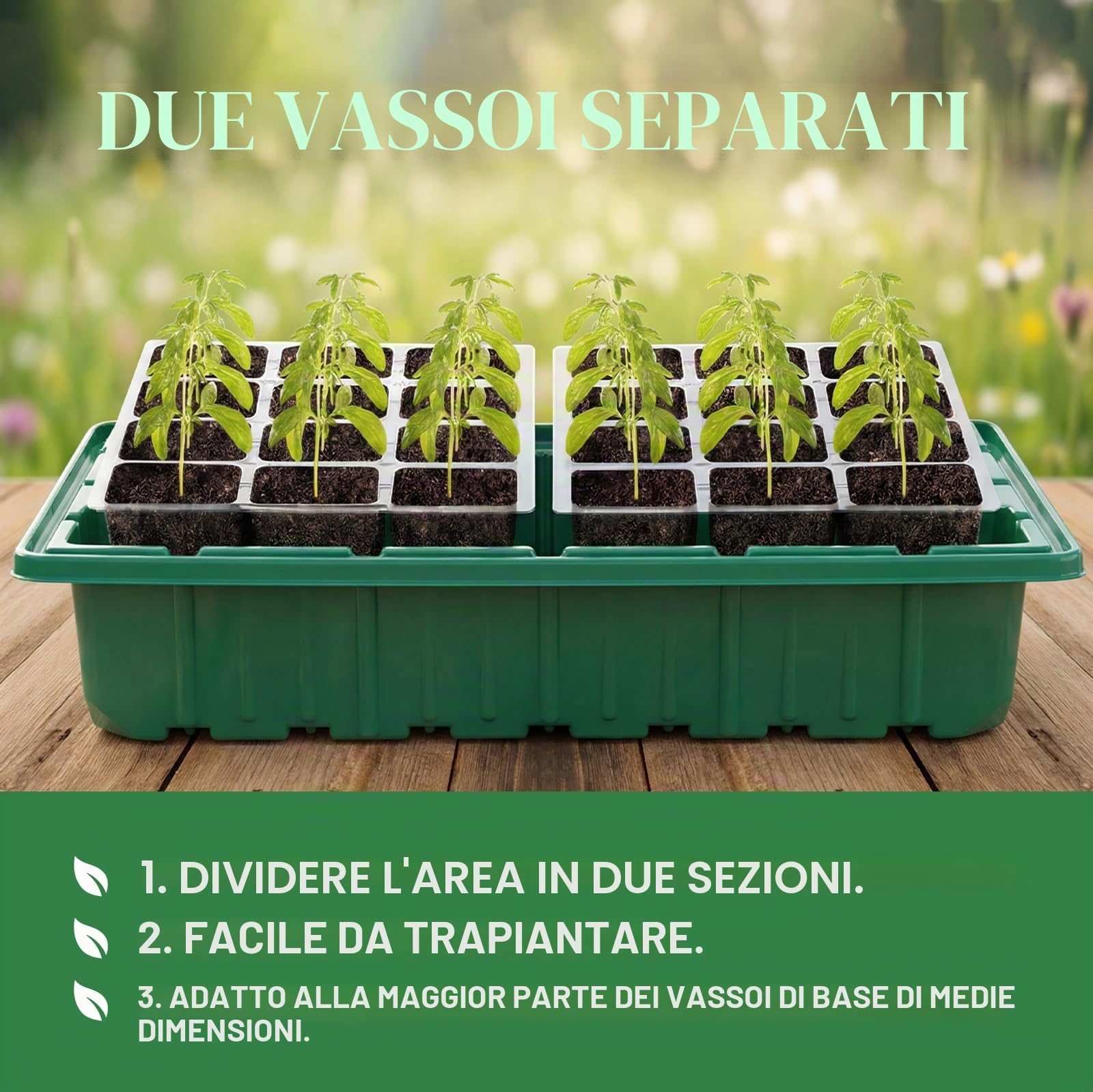 Verdenu Vassoio Germinazione con Tappeto Riscaldante, Semenzaio Germinazione Extra Large da 24 Celle con Coperchio Rialzato, Serra Per Germinazione Per la Propagazione di Piante da Interno
