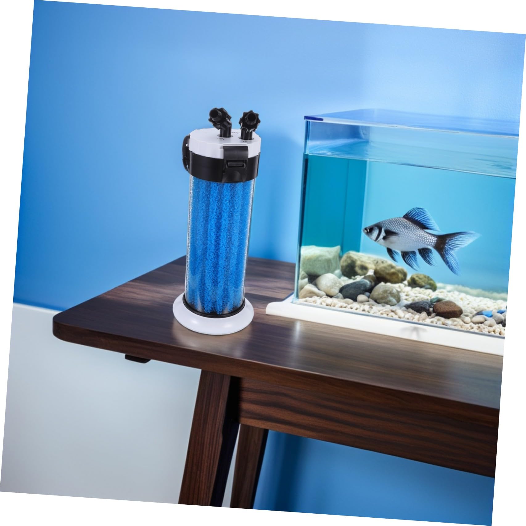 Healifty Filtro Externo de Acuario Silencioso, Filtro de Agua de Bote para Acuario, Abs Azul, Filtración Completa y Oxigenación Mejorada, para Estanques de Tortugas y Mascotas Acuáticas