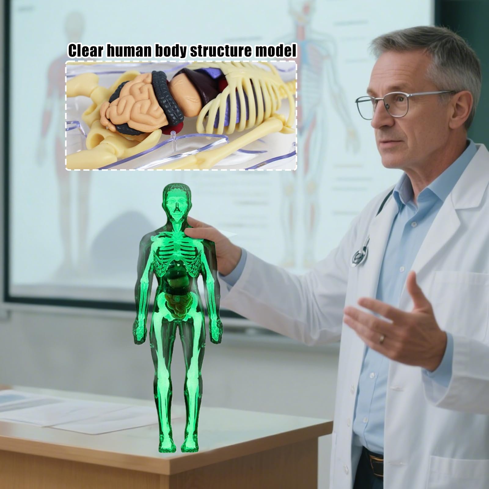 Zabawki anatomiczne dla - Naukowy model ludzkiego ciała, interaktywna figurka szkieletu do nauki w domu