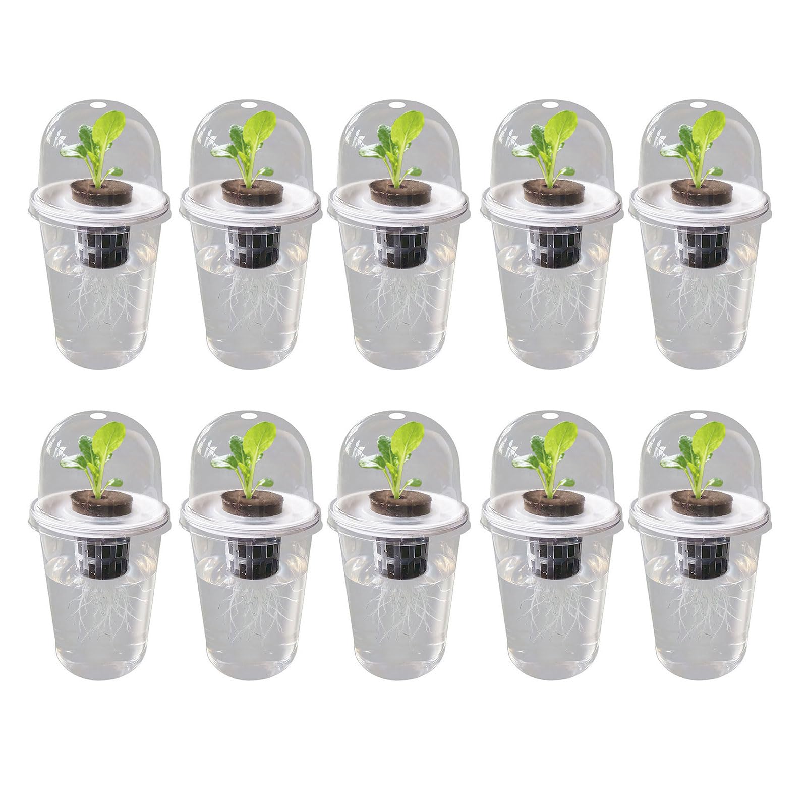 Shurhome Hydroponics Growing Planting Container Hydroponics Supplies Plant Container for Vegetable Beet Kitchen Accessories Transparency Hydroponic Seedling Starter Aerating Cylinder Planter