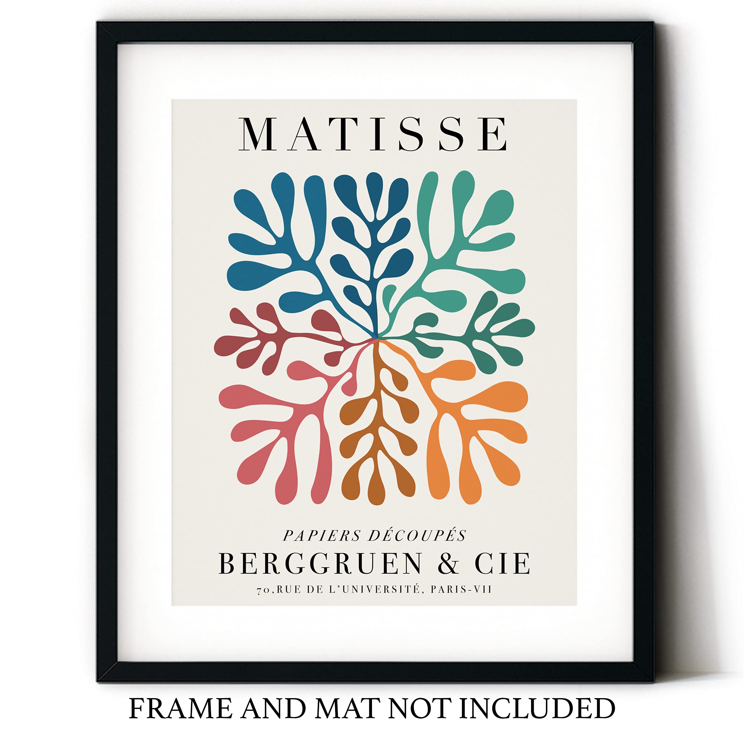 Amazon.com: Sage Light Design Co Matisse Colorful Paper Cut-Out