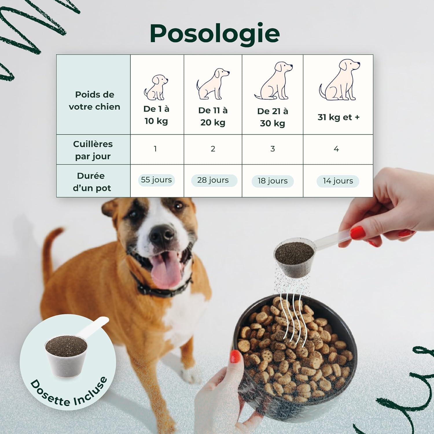 SparklyPets - Poudre Dentaire pour Chien - Nettoyant Anti-Tartre et Plaque, Blancheur Dentaire, Mauvaise Haleine, Gencives - Eucalyptus, Prébiotiques - Marque Française - 120g (55 Cuillères)