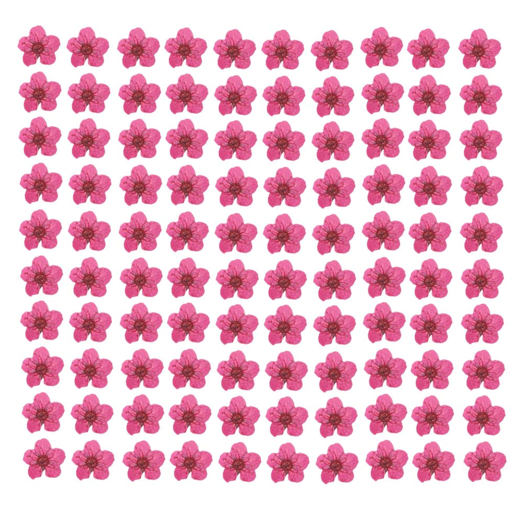 100 Pcs Pressed Flower for Resin Craft Making