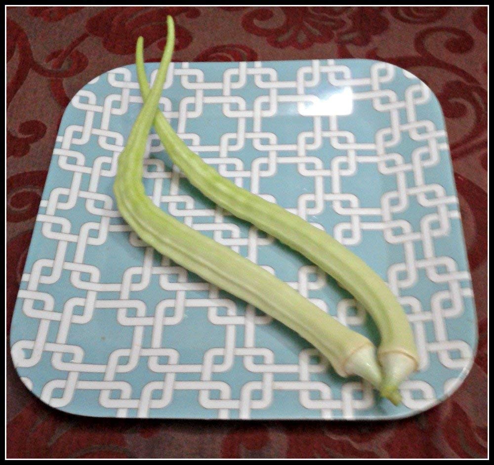 Golden Hills Farm Okra Seeds-Elephant Tusk Variety (Bhindi; Ladies Finger) for Home Garden 100 Seeds (B07N5FLC4G) Amazon Price History, Amazon Price Tracker