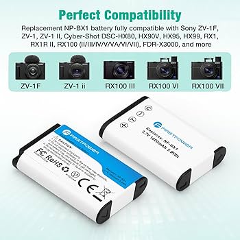 Amazon.com : FirstPower NP-BX1 Battery 2-Pack and Dual USB Charger