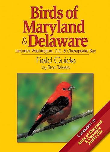 Birds of Maryland &amp; Delaware Field Guide: Includes Washington, D.C. &amp; Chesapeake Bay (Bird Identification Guides)