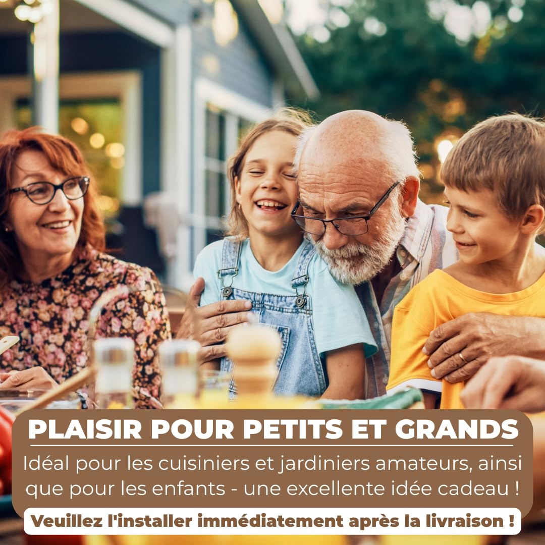 Hawlik Pilzbrut - Culture de Shiitake BIO à cultiver soi-même XXL - cultiver des champignons Shiitake facilement - Kit champignon complete - Cueillir champignons frais