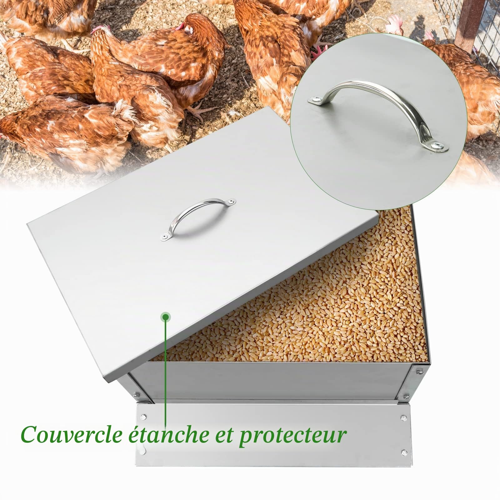 Mangeoire à Poule Automatique 25KG en Acier, Distributeur Graines Poules | Agrainoir Automatique, Anti Pluie, Anti Gaspillage, Accessoire Poulailler