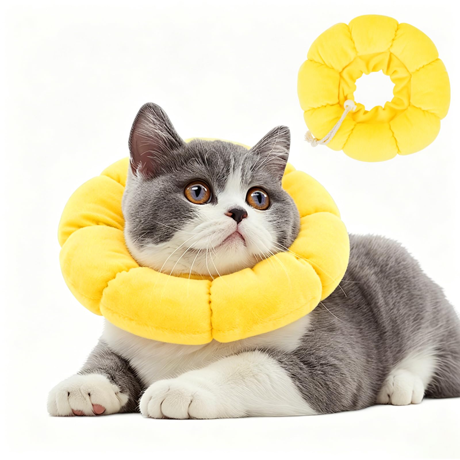 Collare Elisabettiano Gatto, Collare Protettivo Gatto, Regolabile, Morbido e Comodo, Protettivo Dopo Chirurgia, Anti-morso per Animali Domestici Dopo l'Intervento Chirurgico,Girasole Carino (XS)