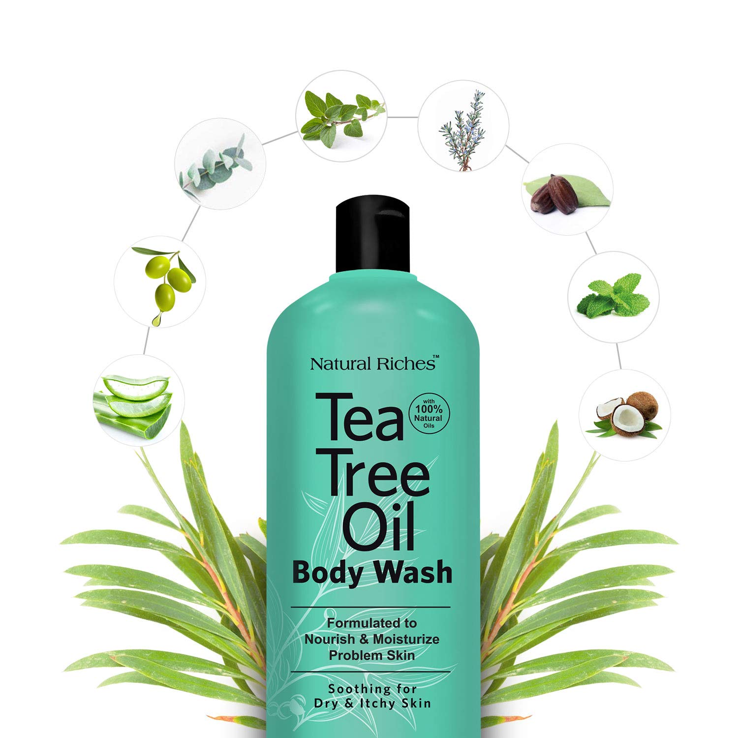 Natural Riches Tea Tree Body Wash Body Soap to Fight Jock Itch, Itchy