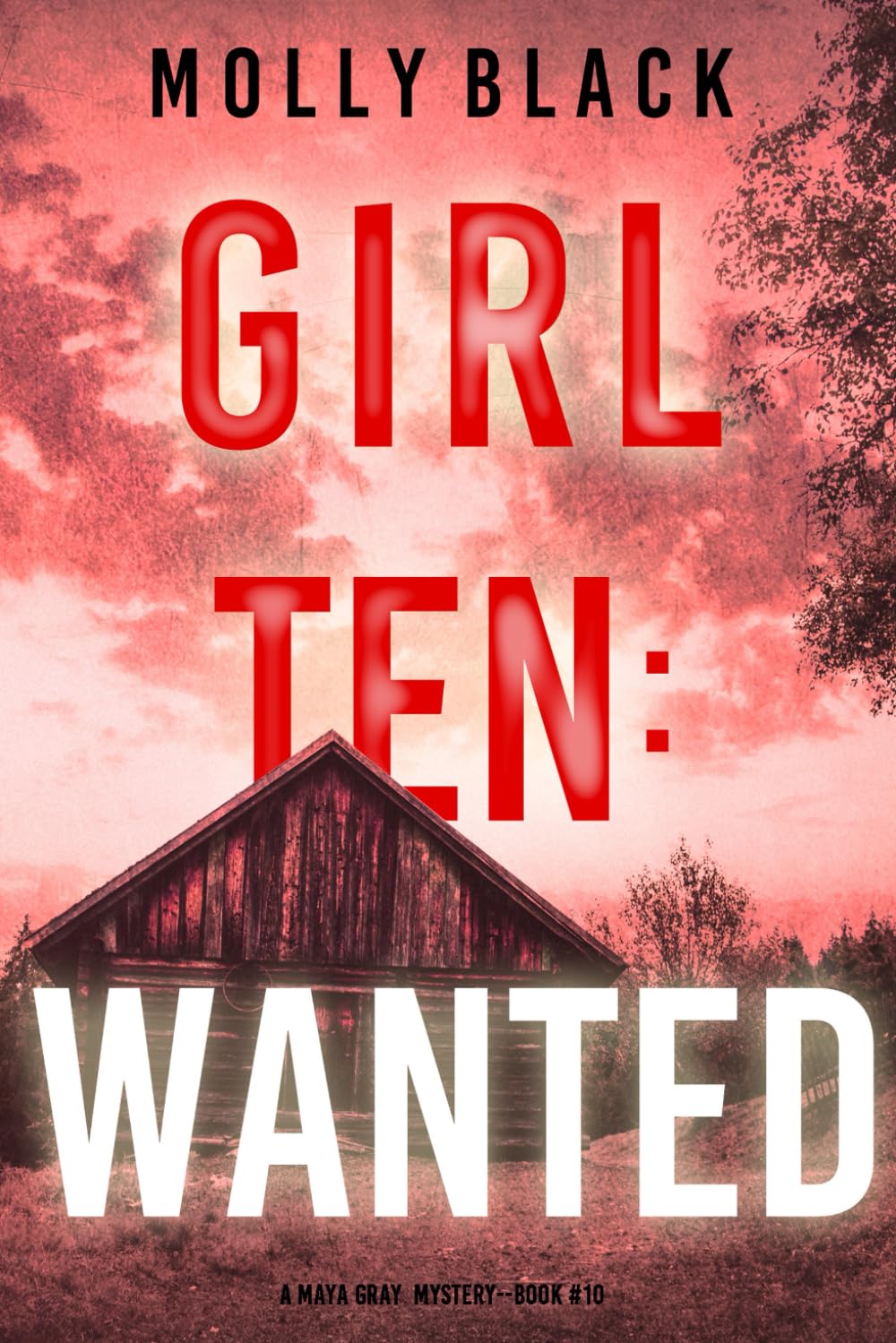 Girl Ten: Wanted (A Maya Gray FBI Suspense Thriller—Book 10)