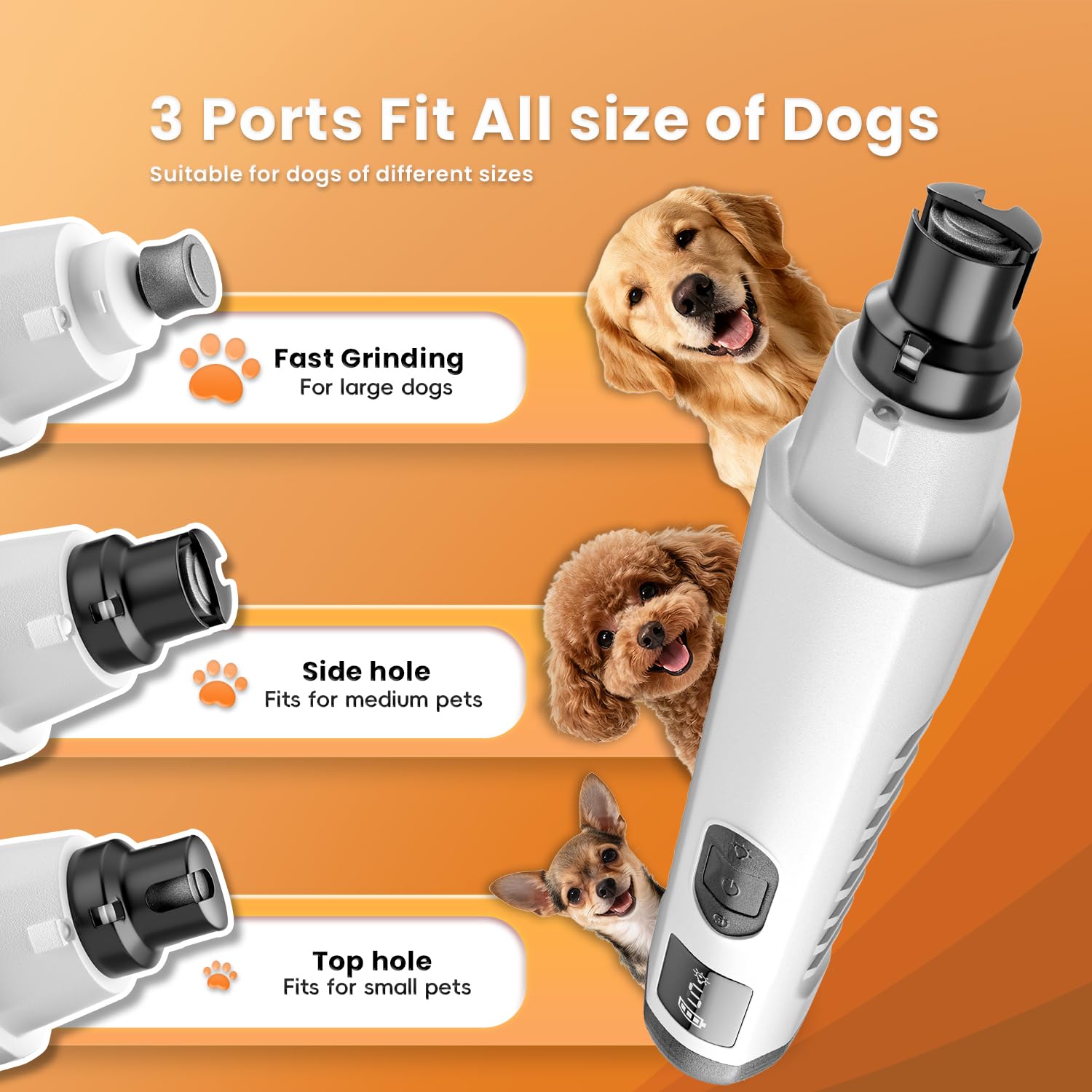 Broyeur à ongles pour chien Silent Groom Pro, broyeur à ongles pour chien à 5 vitesses avec lumière LED, 40 dB, toilettage silencieux et indolore des pattes pour chiens de petite, moyenne et