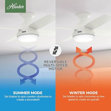 Hunter 44 inch Outdoor or Indoor Ceiling Fan with LED Light and Remote Control - Low Profile Mount Ceiling Fan, 4 Blades, For Patio, Porch, Garage, or Living Room, Quiet - Dempsey 50399, Fresh White