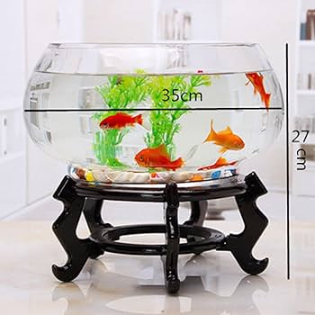 Amazon | 金魚鉢 ミニ魚タンク 丸型 ガラス 容器 水槽