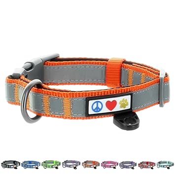 Pawtitas Classic Dog Collar Padded Dog Collar Reflective Dog Collar Puppy Collar Training Dog Collar Neoprene Collar Extra Small Dog Collar Orange Dog Collar
