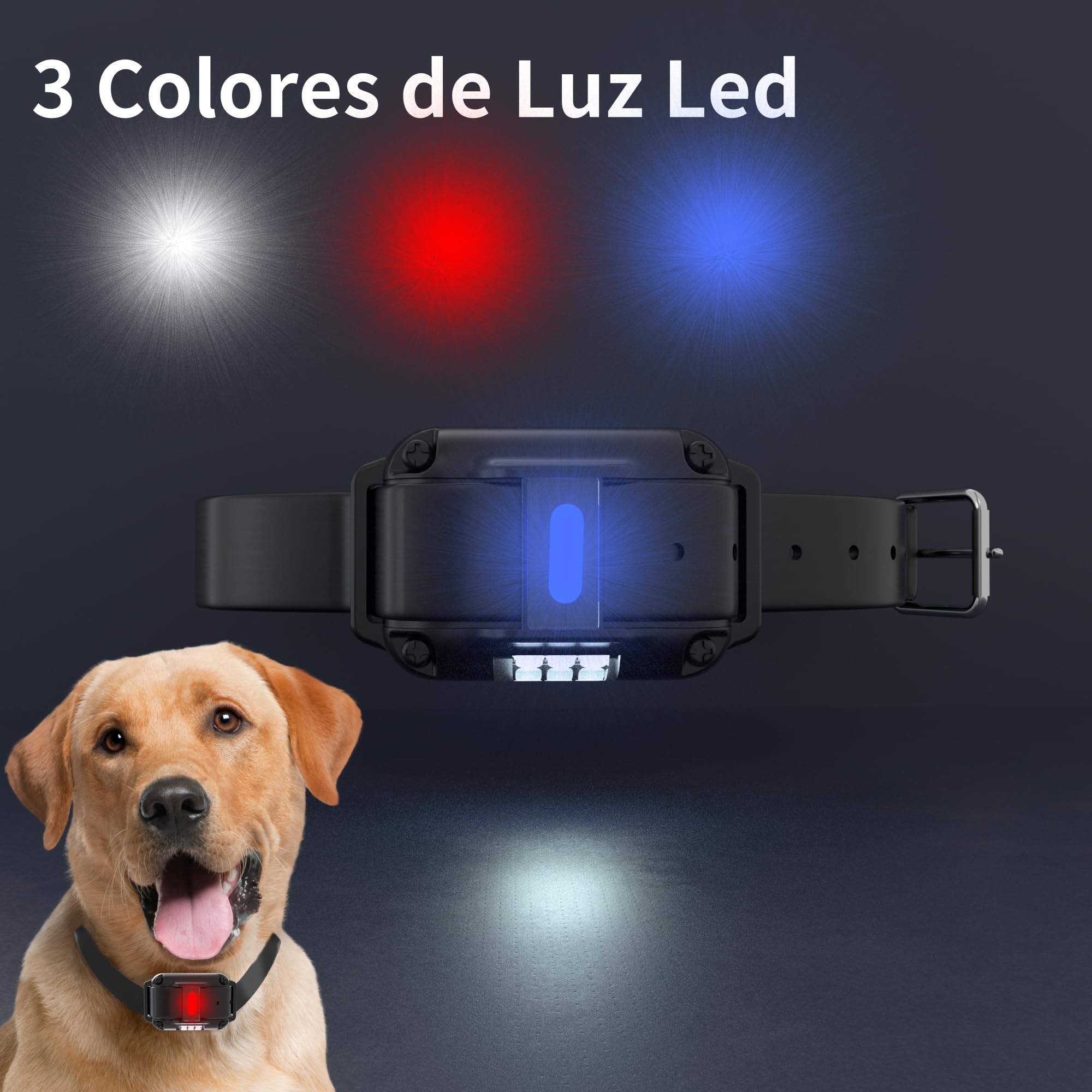 Meloive Collar para Perros,Collar Nylon Reflectante Impermeable,Duradero y Cómodo para Perros Pequeños,Medianos y Grandes,Amarillo