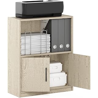 Furinno Gruen 2-Tier Open Shelf Bookcase with 2 Doors Storage Cabinet, Metropolitan Pine