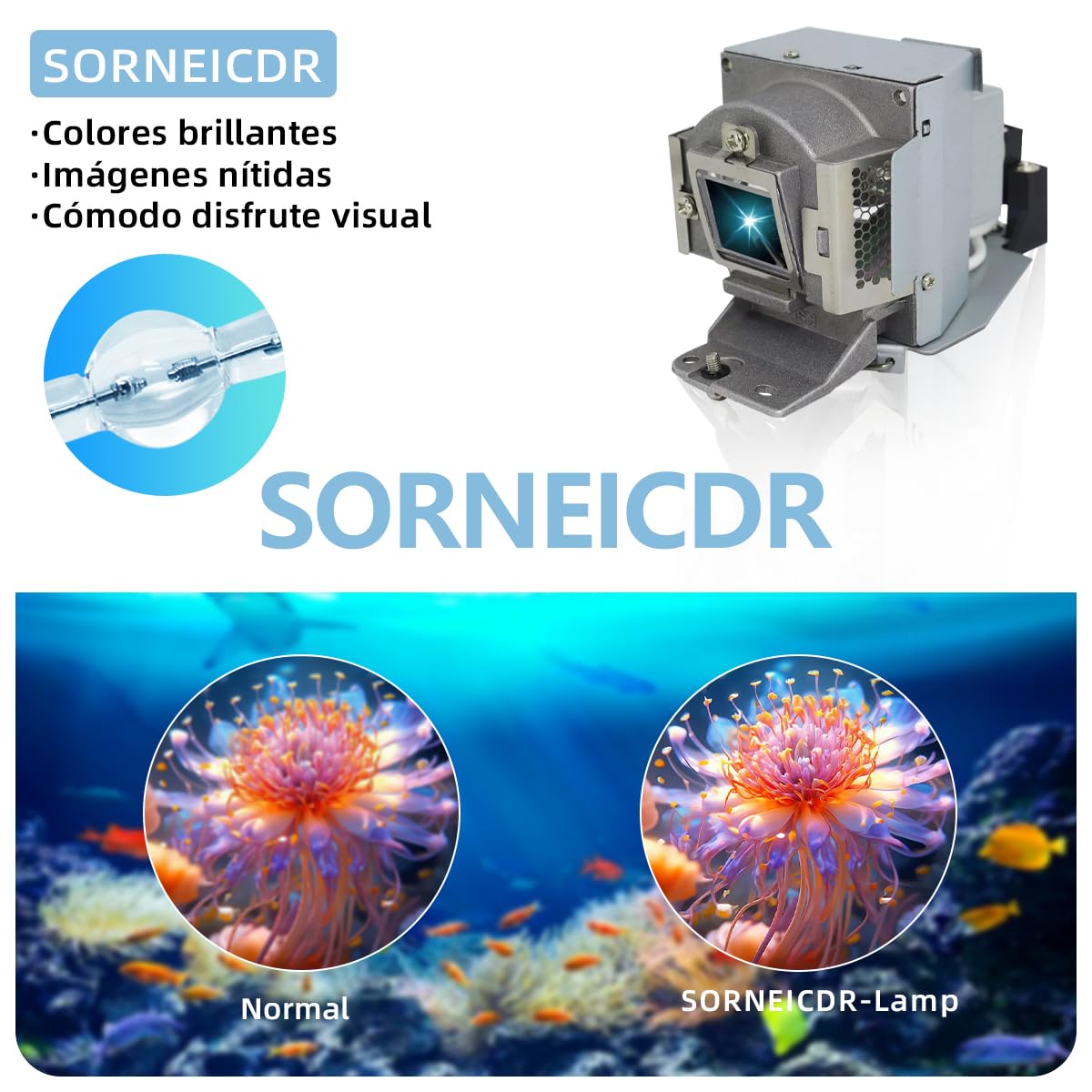 5J.J9P05.001 Lampada proiettore di ricambio con alloggiamento per BENQ MX666, MX666+ Videoproiettore