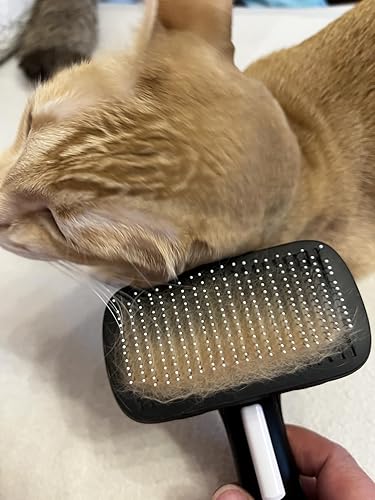 Bewertung von Sa Sch