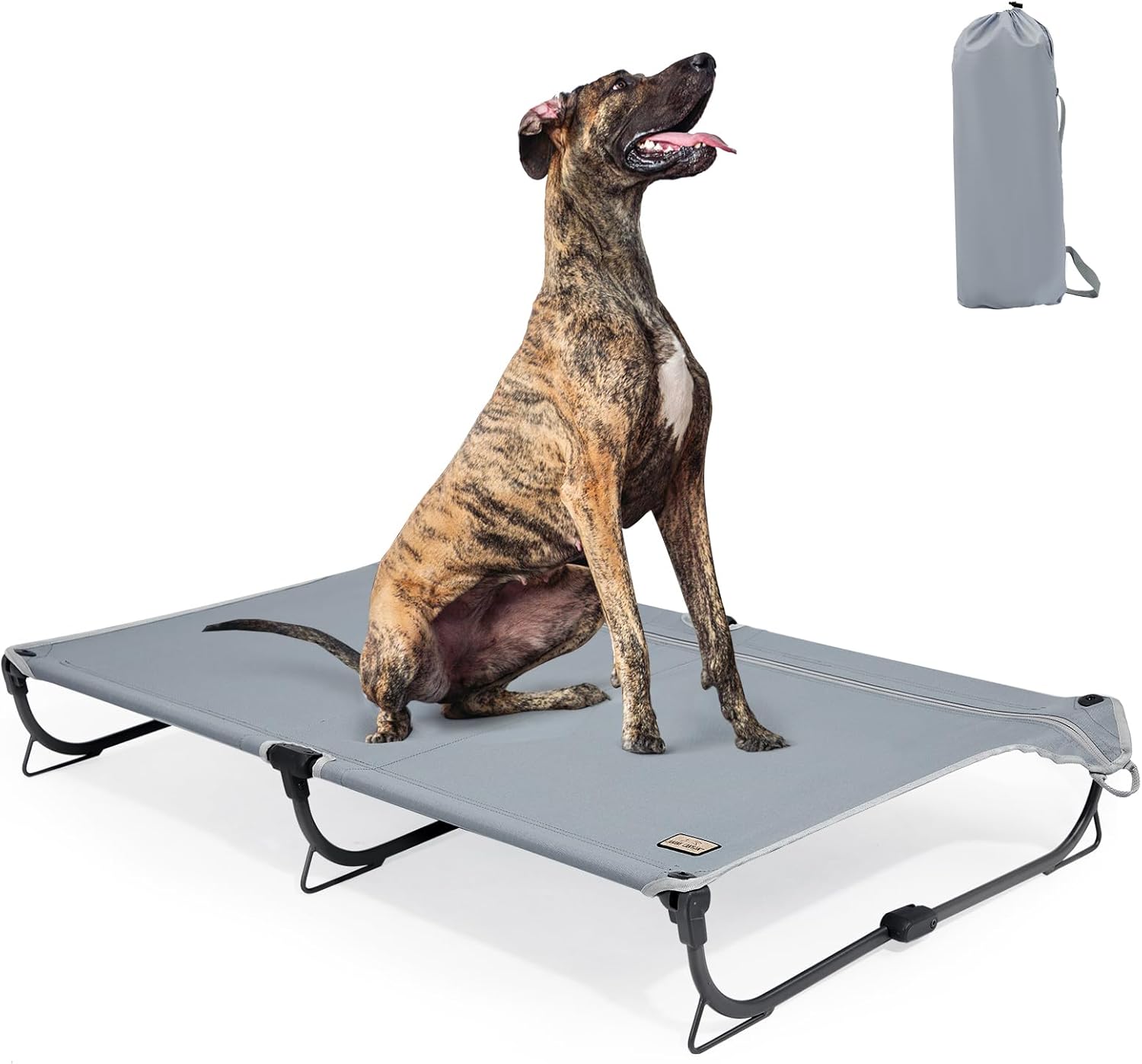 Daisy Cot, XL Foldable Elevated Dog Bed, Portable Raised Outdoor Folding Dog Cots, Cooling, Chew Proof, Waterproof, Heavy Duty Up to 160 lbs for Camping/Home, Grey, 49"x 33"x7" Gray X-Large
