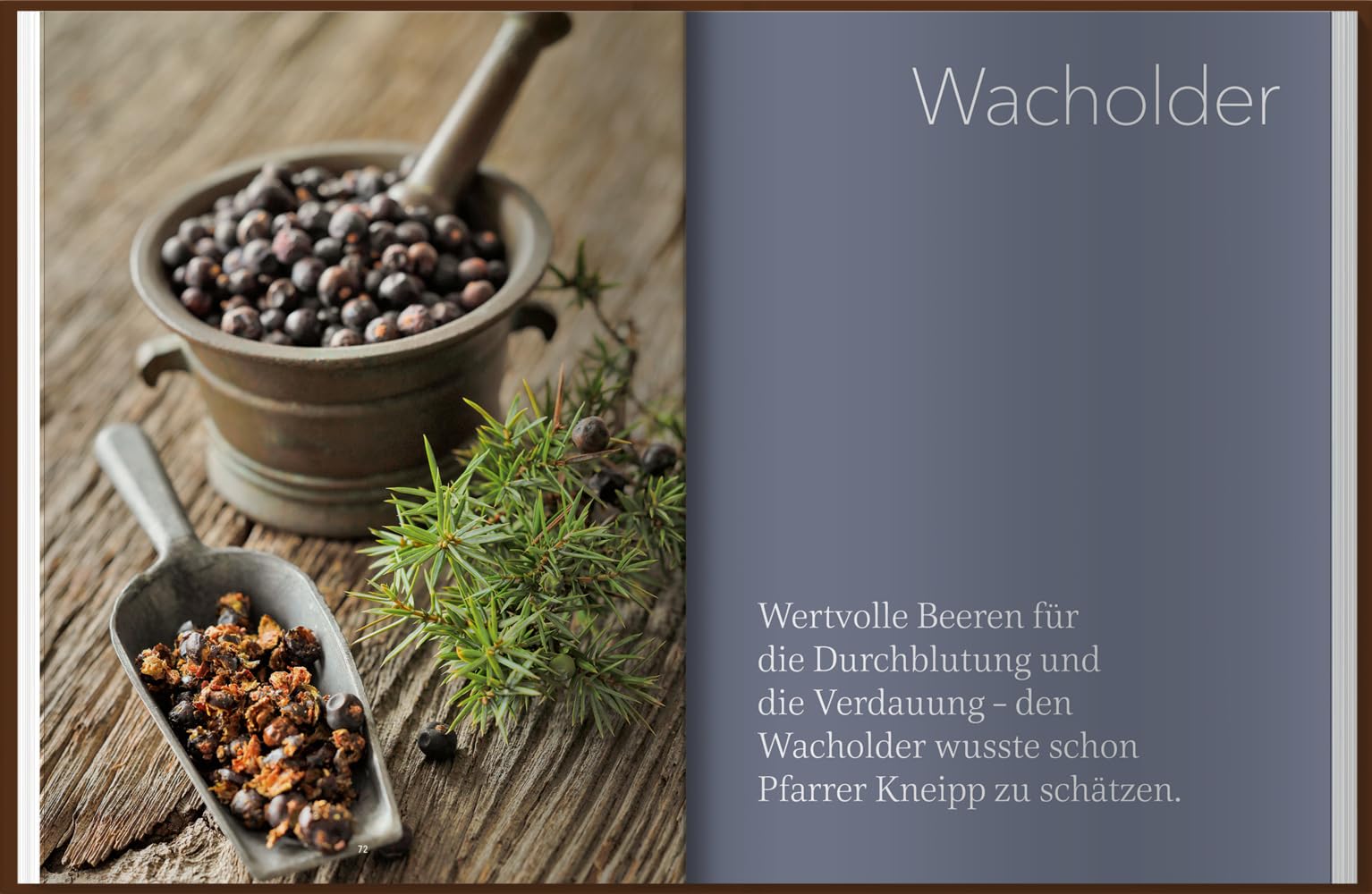 Landlust Naturapotheke: Naturrezepte für Gesundheit und Wohlbefinden – Herbst und Winter. Mit den Heilkräften der Natur gestärkt durch die kalte Jahreszeit. Tipps zu Heilpflanzen und ihrer Anwendung.