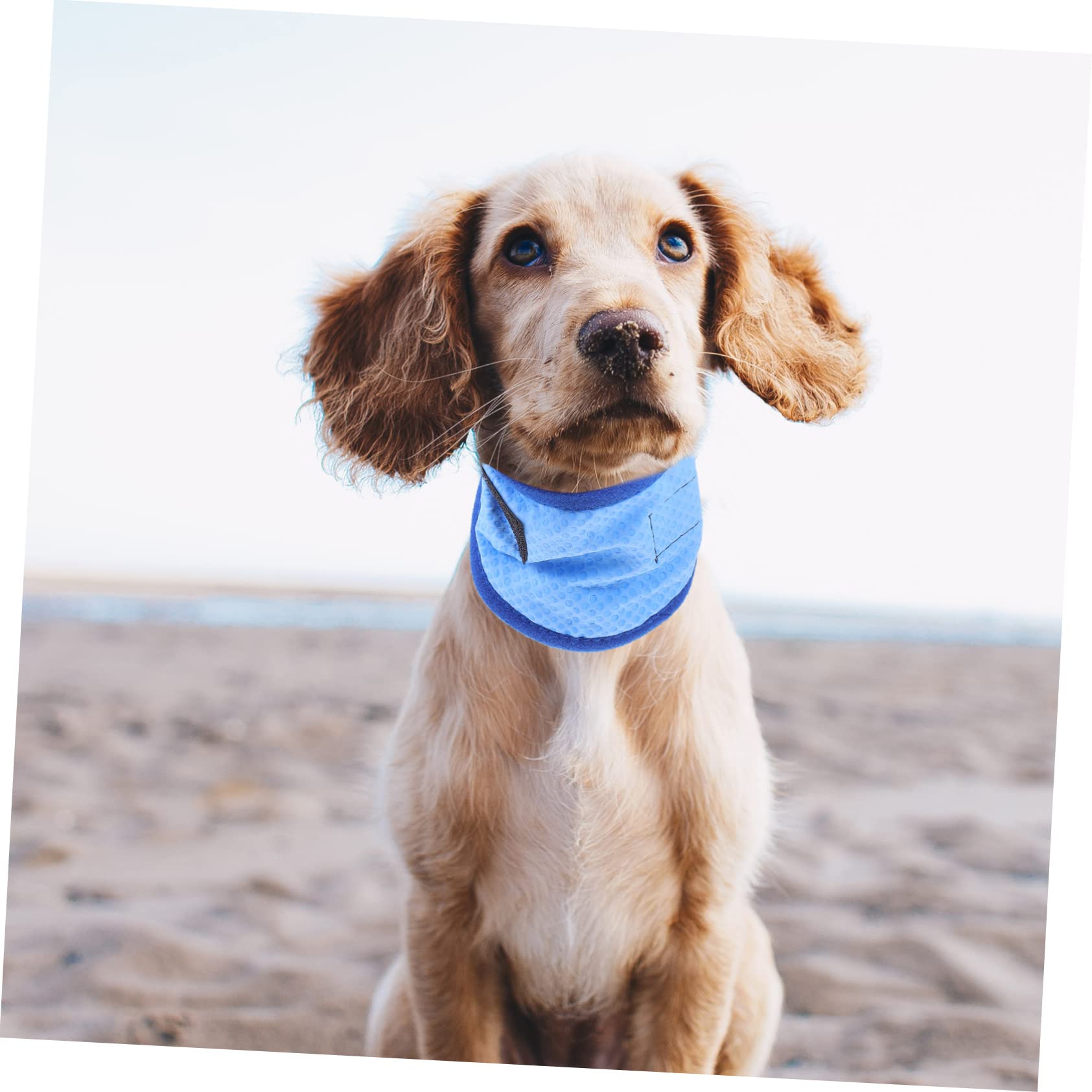 BESPORTBLE 4pezzi Collare Rinfrescante per Cani Bandana Estiva Traspirante per attività all Aperto Perfetta per Passeggiate e Giochi con Tuo Zampe