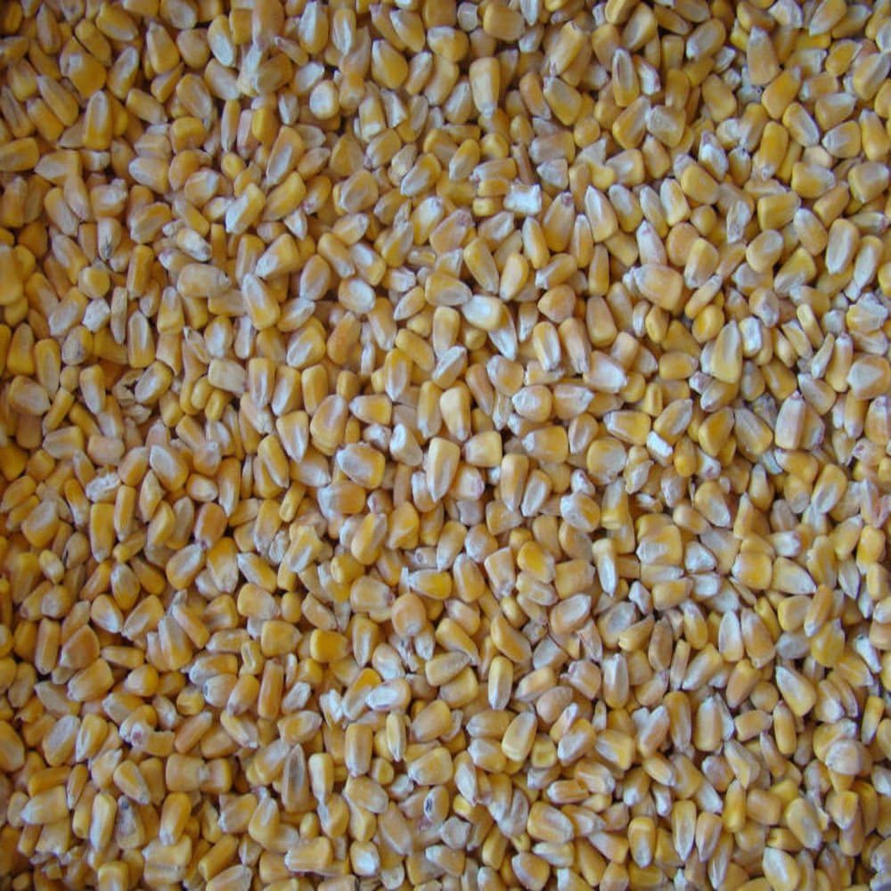 15 Lbs Iowa Country Corn 2017 crop