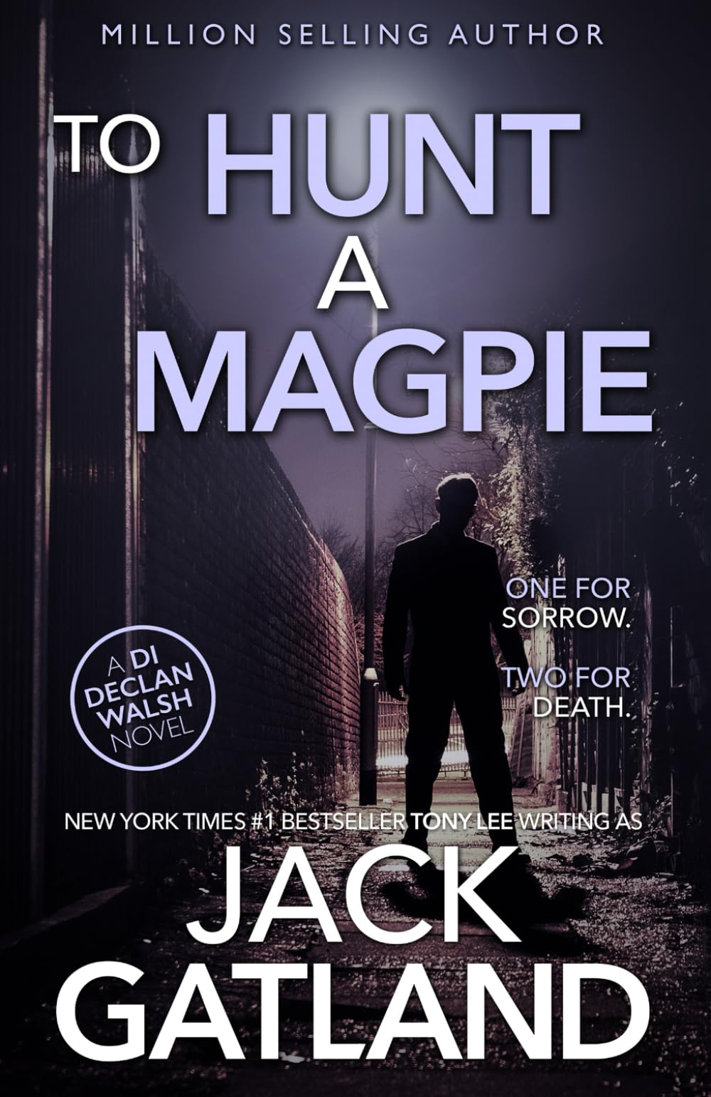 To Hunt A Magpie: (Detective Inspector Declan Walsh Crime Series Book 5)
