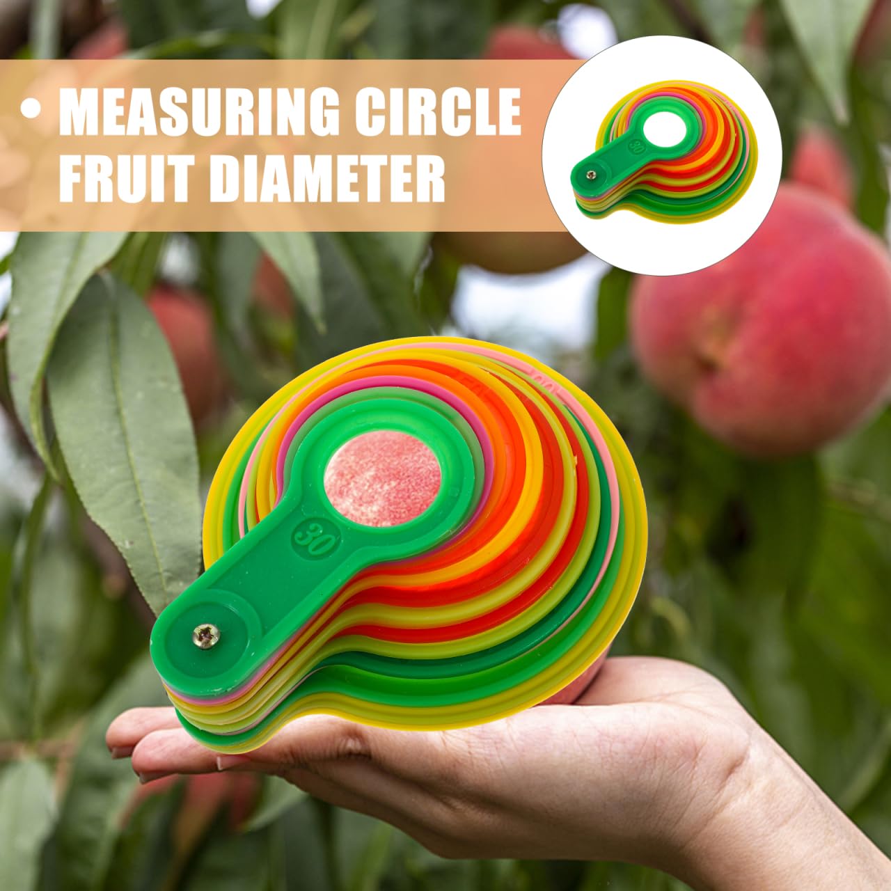 Misuratore Di Diametro Per Calibro Di Misurazione Anello Agrumi Plastica Arancione