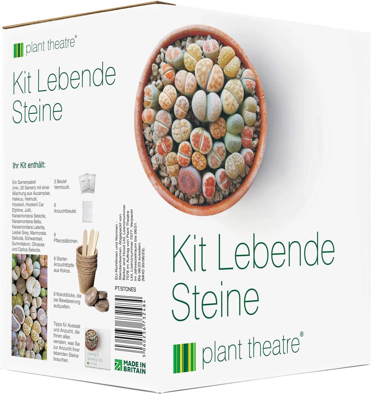 Plant Theatre Living Stones Kit - Lithops Gift Seed Kit