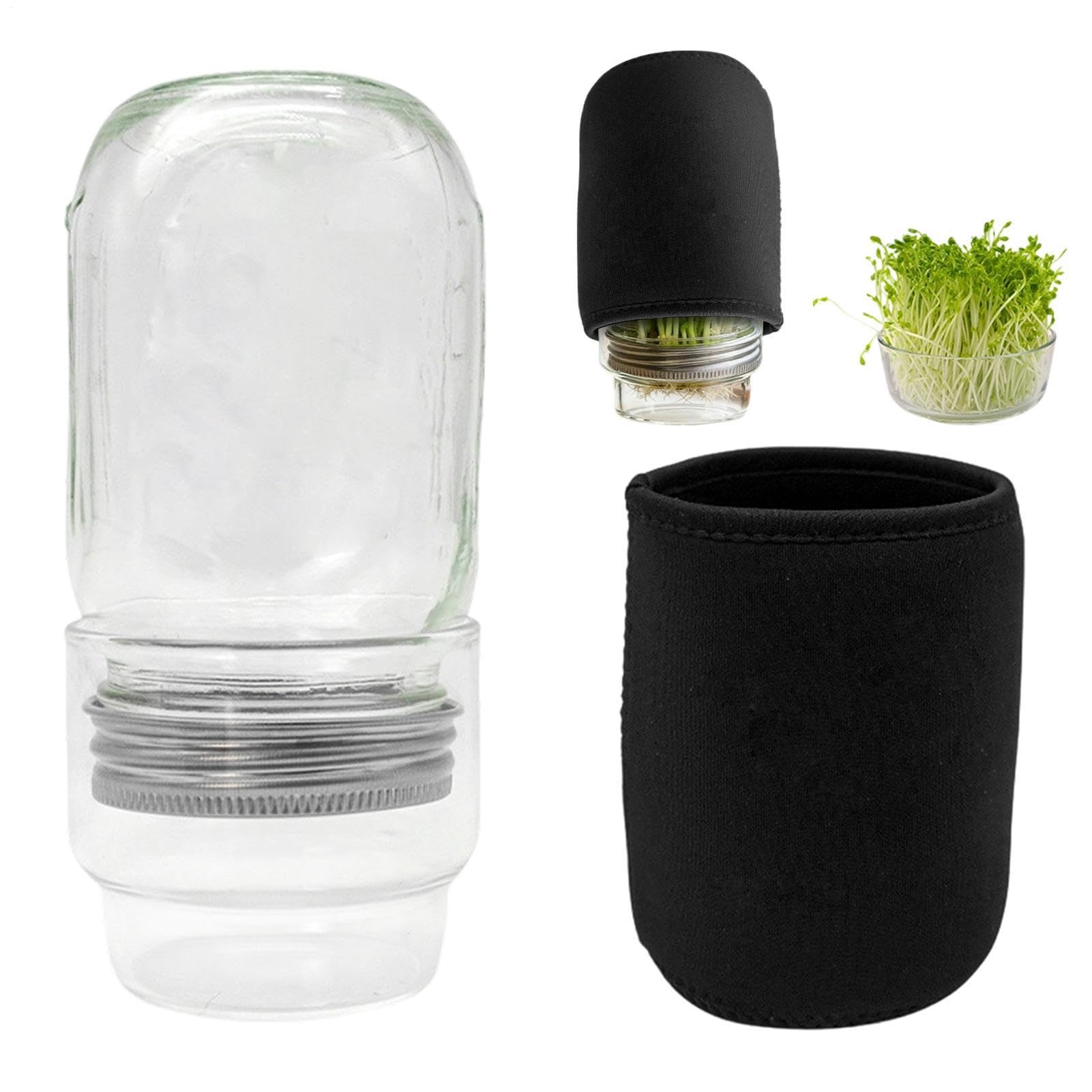 Kit de pots de germination en verre de légumes et graines pour végétarien