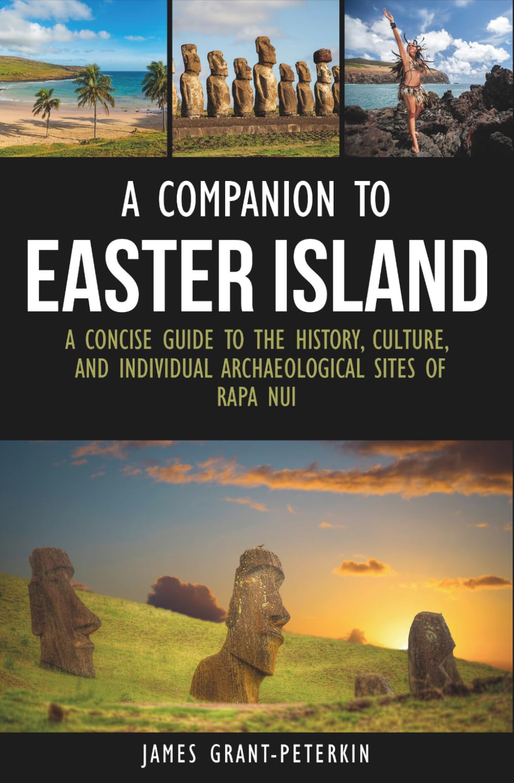 A Companion To Easter Island (Guide to Rapa Nui)