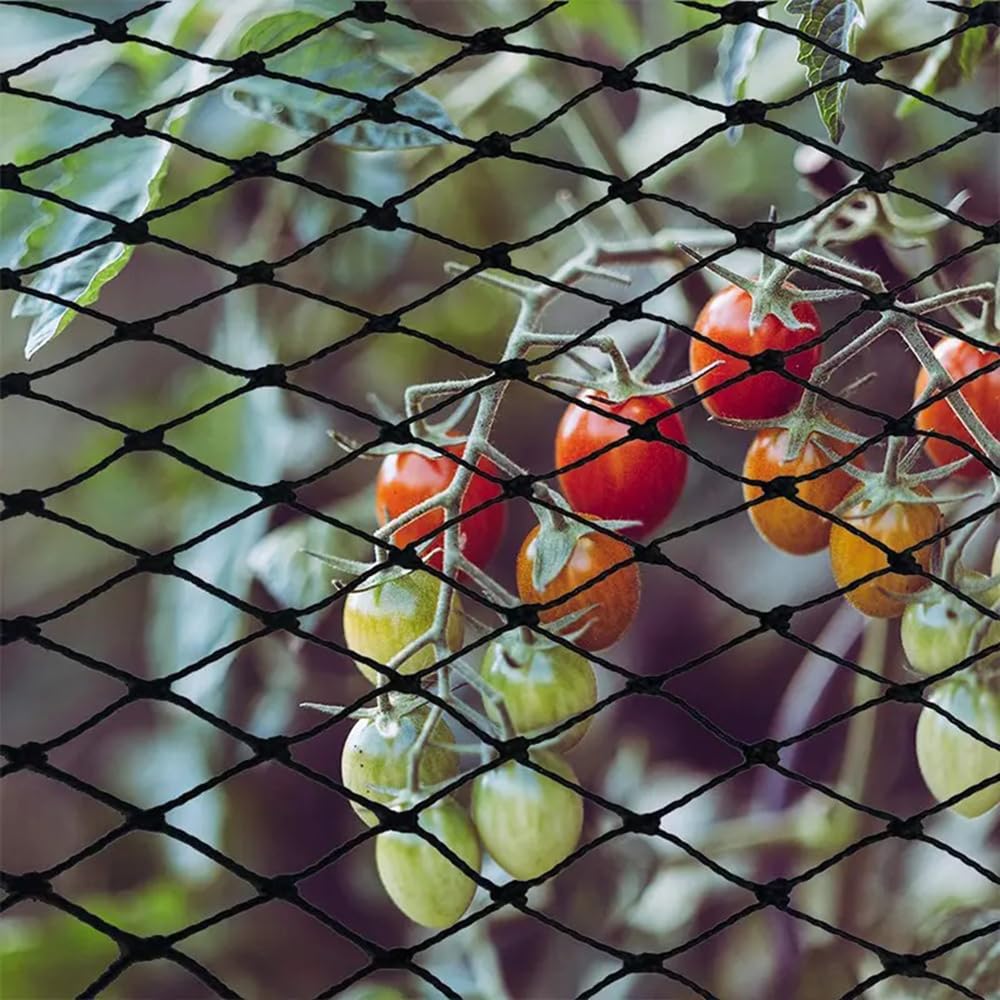 Filet Anti Oiseaux 15m x 15m, 25mm Maille Extra Fort, Pour Arbres Fruitiers, Chats, Réutilisable