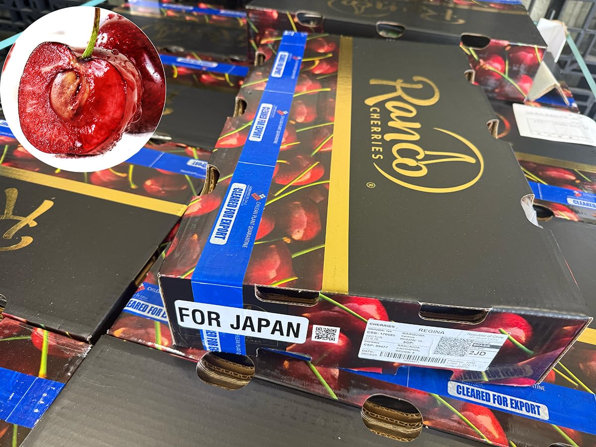 Amazon.co.jp: ダークチェリー 約1kg 箱｜大粒サイズ｜チリ産