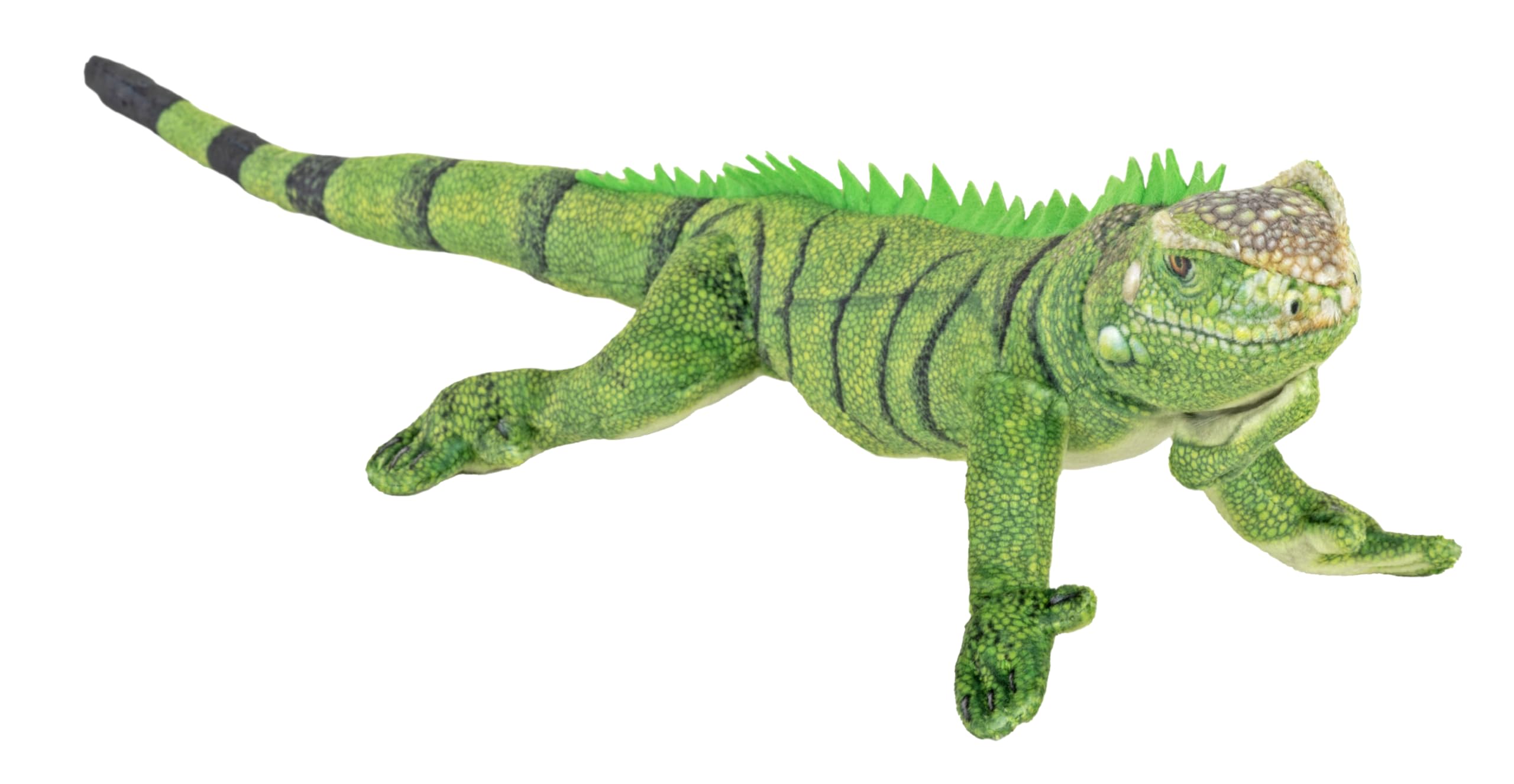 Wild Republic Coilkins Iguana, Stuffed Animal, 9 Inches, Plush Toy, Fill is Spun Recycled Water Bottles