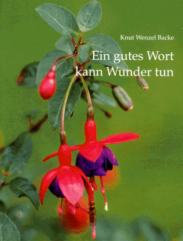 Preisvergleich Produktbild Ein gutes Wort kann Wunder tun