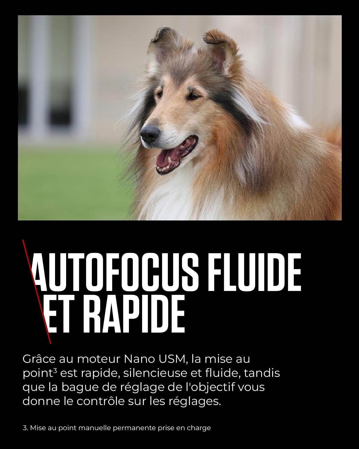 Objectif Canon RF 100-400mm F5.6-8 IS USM, téléobjectif zoom, stabilisateur d'image 5,5 vitesses, photo sportive/animalière, compatible Canon EOS R